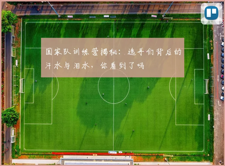 国家队训练营揭秘：选手们背后的汗水与泪水，你看到了吗